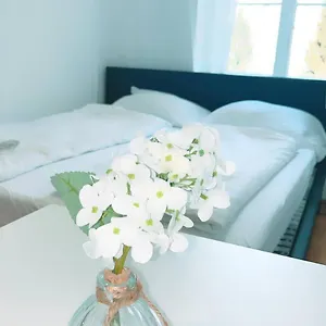 Deluxe Double Kp Apartment
